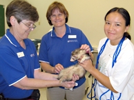World Rabies Day